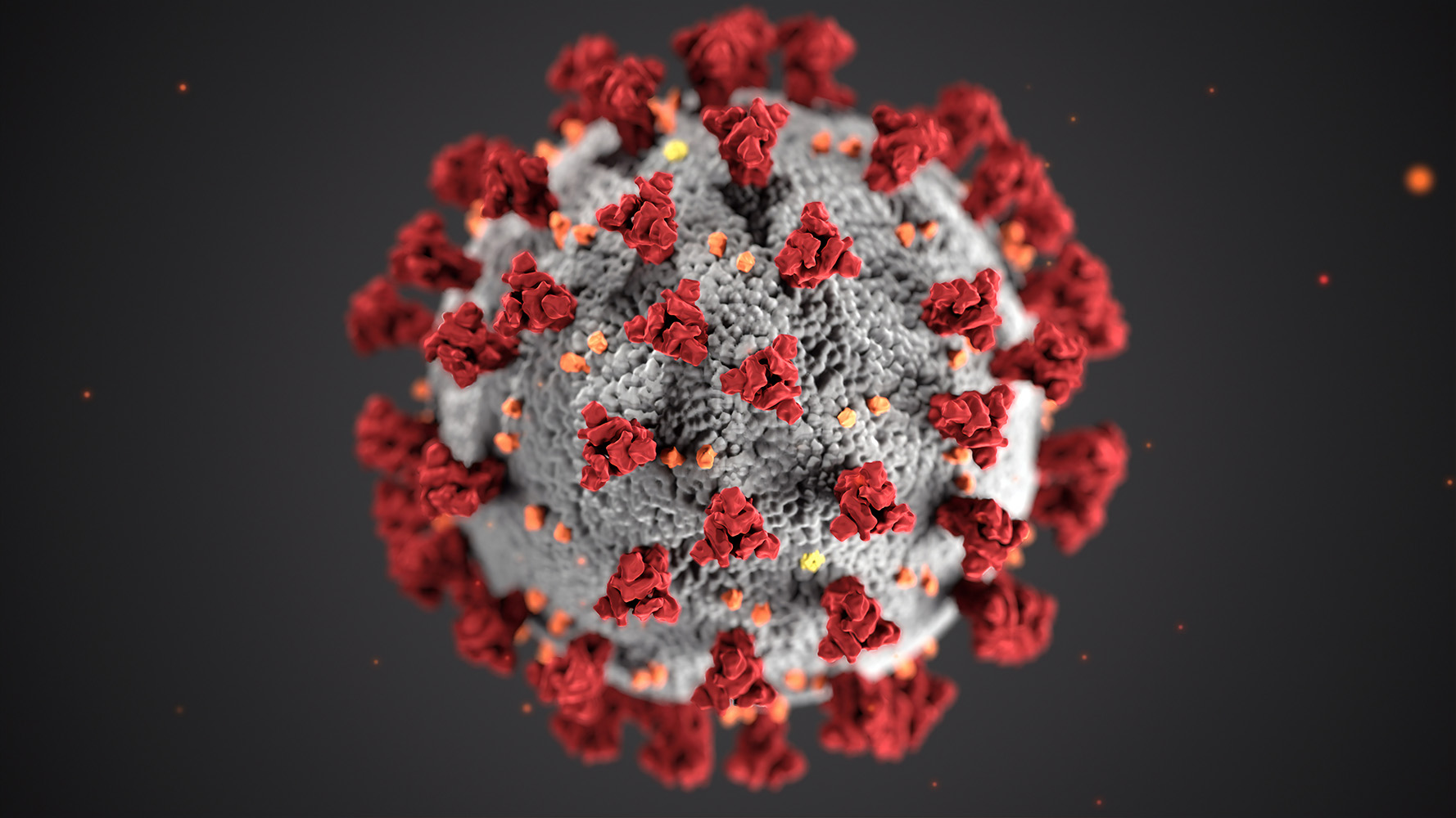 Coronavirus Response Fund